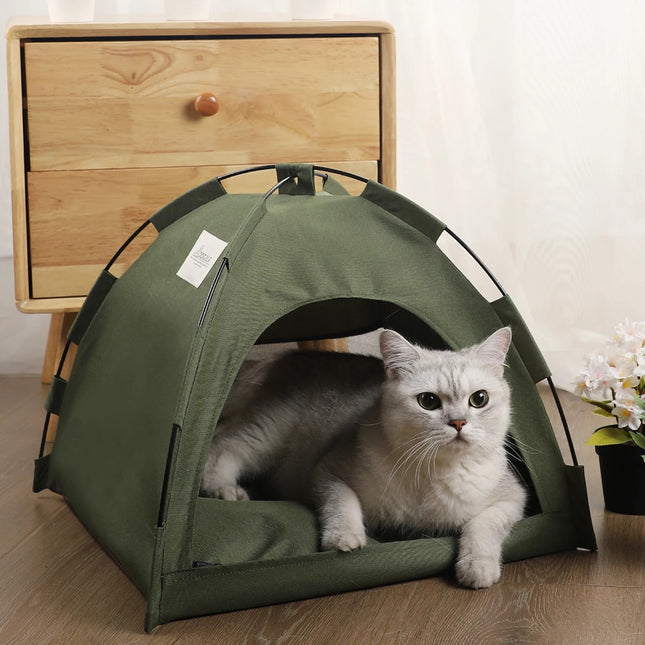 Tienda de campaña para gatos con forma de concha para el invierno: acogedora cama y casa para gatos