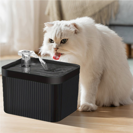 Fontaine à eau automatique pour chat de 2,5 L avec pompe silencieuse USB et filtre de circulation