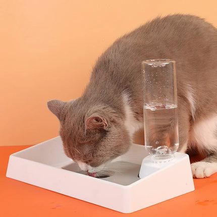 Gamelle double pour animaux de compagnie avec distributeur d'eau automatique pour chiens et chats