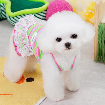 Robe rayée pour chien