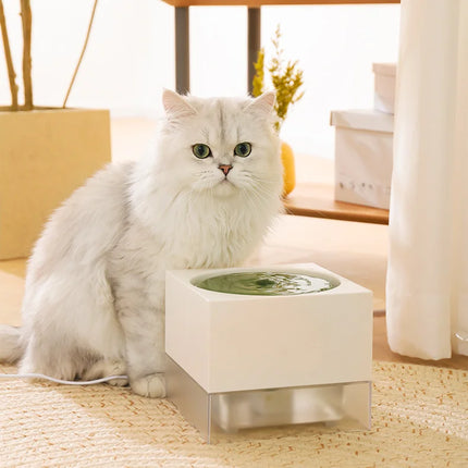 Fontaine à eau automatique pour chat avec pompe à eau courante et distributeur d'eau lent