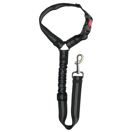 Ceinture de sécurité réglable pour chien