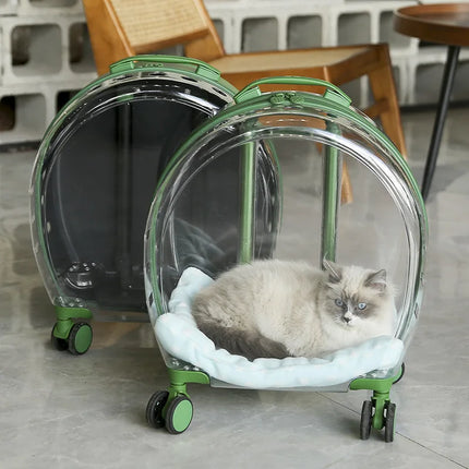 Sac à dos transparent et translucide pour animaux de compagnie pour chats et petits chiens