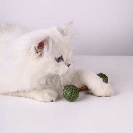 Jouet haltère à l'herbe à chat pour chats – Jouet à grignoter en bois pour animaux de compagnie