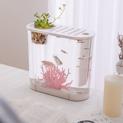 Réservoir en plastique transparent pour poissons rouges