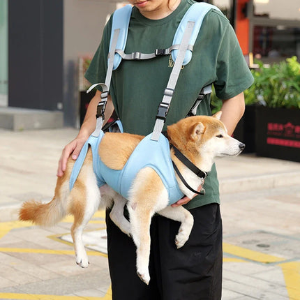 Sac à dos de transport pour animaux de compagnie réglable et respirant pour bouledogue français