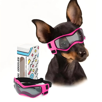 Lunettes de soleil pour petits chiens