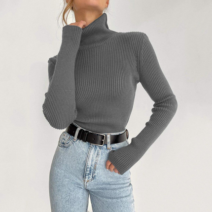 Autumn Winter Thick Turtleneck Sweater for Women - Wnkrs