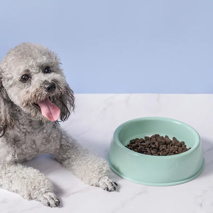 Gamelles en plastique durables pour aliments et eau pour animaux de compagnie en tige de blé pour chiens et chats de petite et moyenne taille