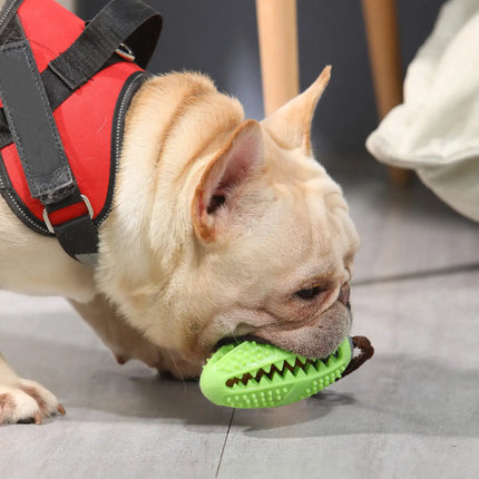 Balle à mâcher en caoutchouc pour chiens