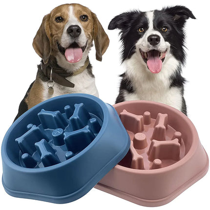 Gamelle pour chien à alimentation lente pour une alimentation saine