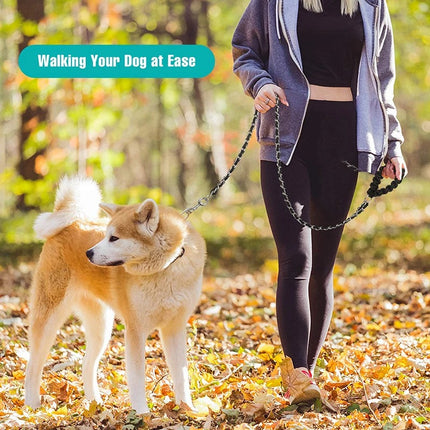 Laisse pour chien en chaîne métallique robuste