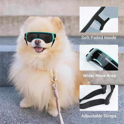 Lunettes de soleil pour petits chiens