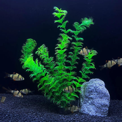 Plante aquatique de simulation d'aquarium de 30 cm de haut pour l'aménagement paysager d'un aquarium