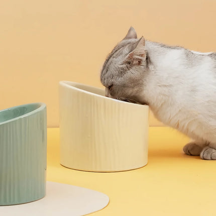 Gamelle surélevée en céramique pour chats et chiens - Protège la colonne cervicale