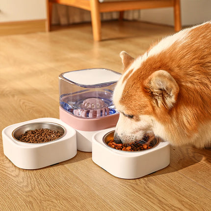 Gamelle pour chien de grande capacité avec distributeur d'eau automatique et séparateur de nourriture