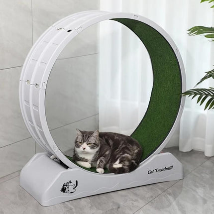 Quiet Cat Exercise Wheel - Wnkrs