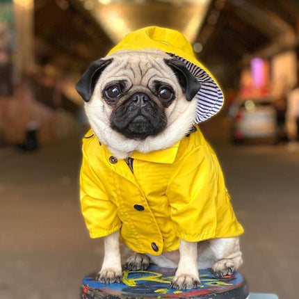 Imperméable pour chiens de taille moyenne et grande