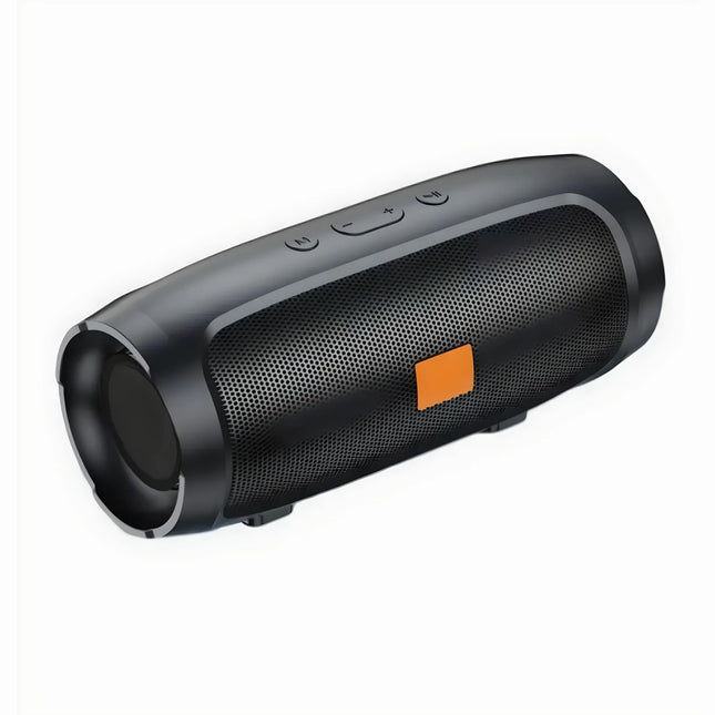 Haut-parleur Bluetooth stéréo portable