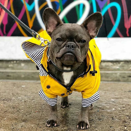 Imperméable pour chiens de taille moyenne et grande