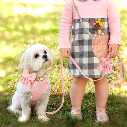 Ensemble harnais et laisse réglables pour chien avec nœud papillon