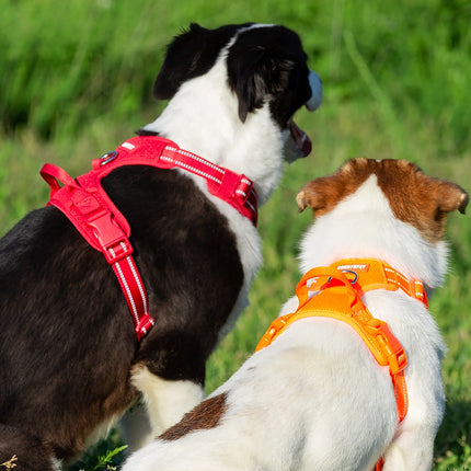 Arnés de nailon reflectante para mascotas: arnés para perros para exteriores cómodo, transpirable y a prueba de explosiones para todas las razas