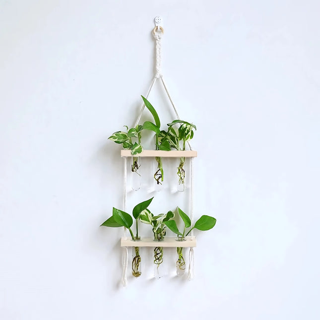 Vase mural hydroponique en bois élégant