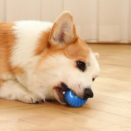 Pelota de juguete inteligente interactiva para perros