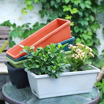 Jardinière en plastique pour légumes avec trou de drainage