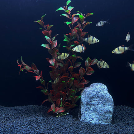 Plante artificielle pour aquarium de 30 cm de haut