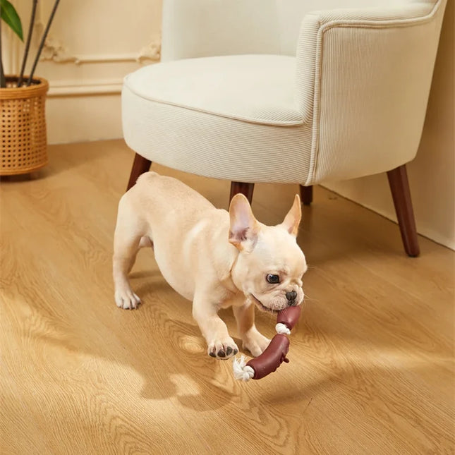Jouet en corde de coton durable et saucisse en vinyle pour animaux de compagnie