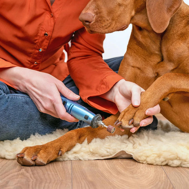 Amoladora de uñas eléctrica recargable para perros