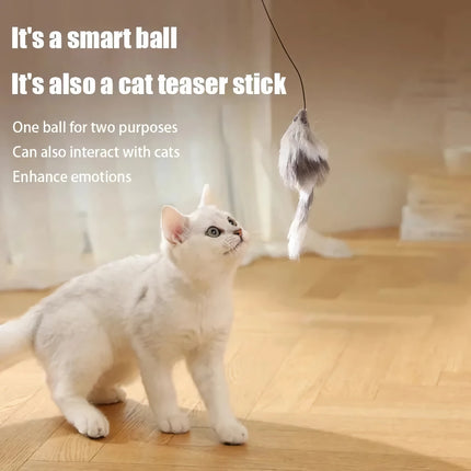 Madden Cat Toys - Automatic Teasing Mouse Stick & Electric Cat Ball for Expending Energy