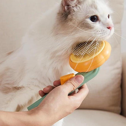 Brosse pour animaux de compagnie en forme de citrouille pour chiens et chats