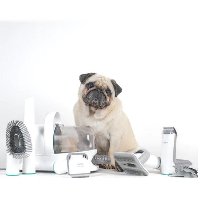 Kit ultime de toilettage et d'aspirateur pour animaux de compagnie