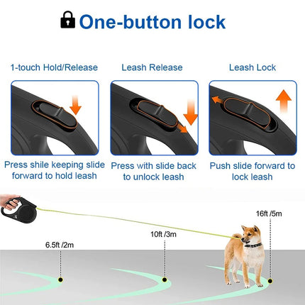 Laisse rétractable pour chien de 5 mètres avec bande réfléchissante pour chiens de 0 à 20 kg