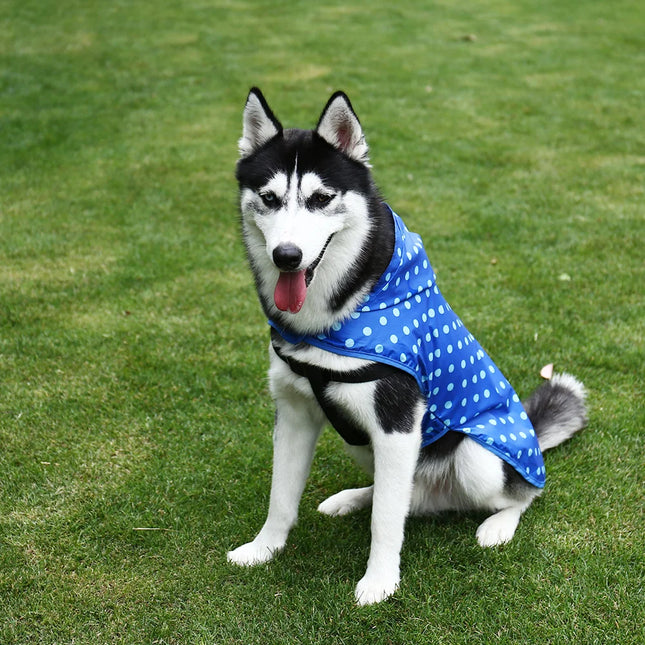 Imperméable portable pour chien et chat