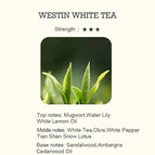 TÉ BLANCO WESTIN / 100 ml