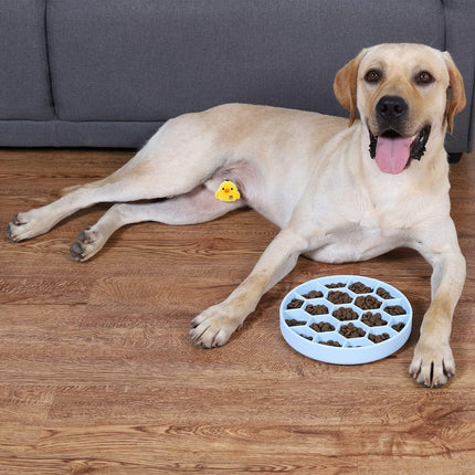 Gamelle pour chien à alimentation lente avec base en silicone antidérapante et ventouse