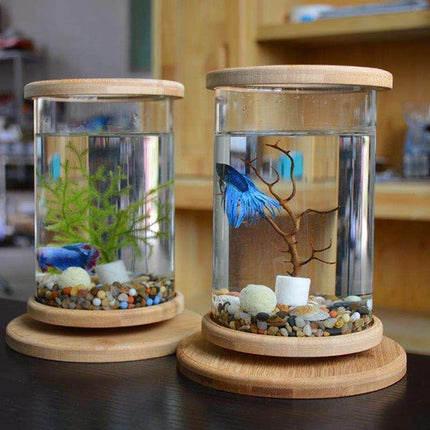 Mini aquarium rotatif