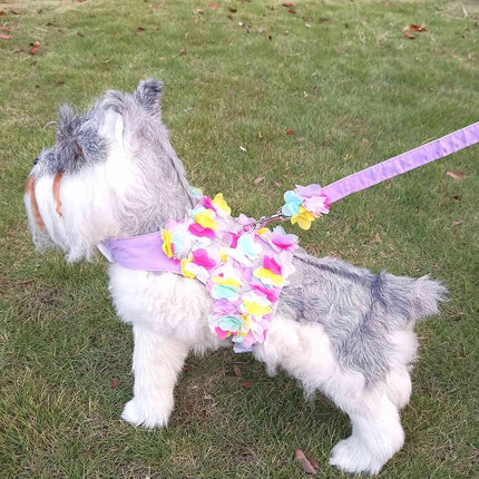 Ensemble harnais et laisse pour chien à motif floral - Accessoires pour animaux de compagnie élégants et confortables