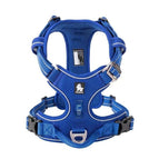 M / Azul real