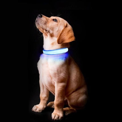 LED Safety Dog Collar - Wnkrs