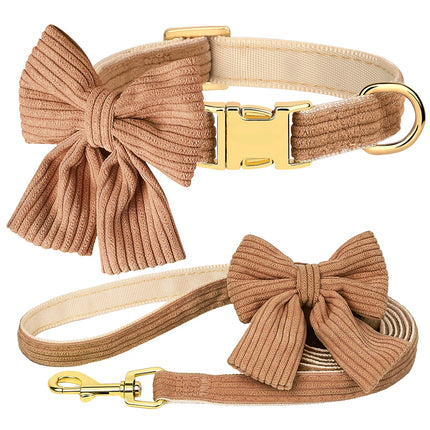 Ensemble collier et laisse pour chien tendance avec nœud papillon