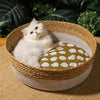 Bed and Cushion Set