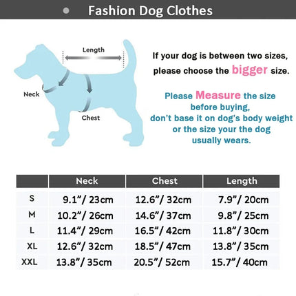 Veste d'hiver imperméable pour chien et chat