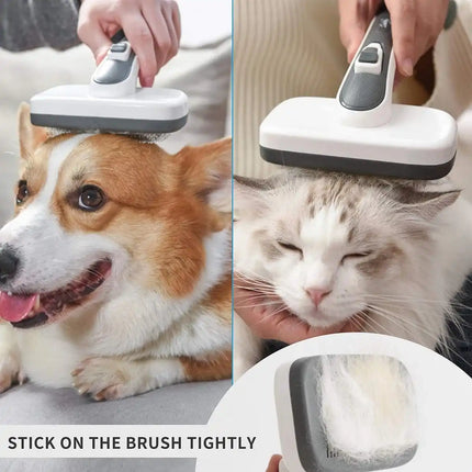 Brosse de toilettage autonettoyante pour chiens et chats