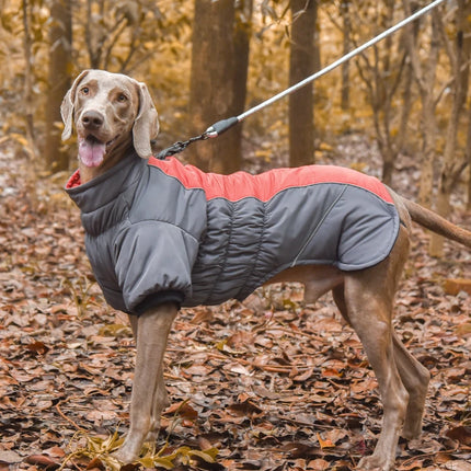 Doudoune d'hiver imperméable pour chiens de petite et moyenne taille