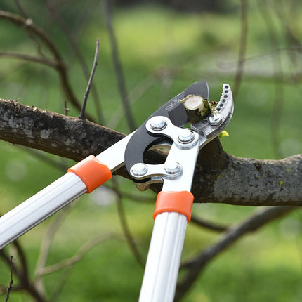 High-Efficiency Anvil Garden Shears