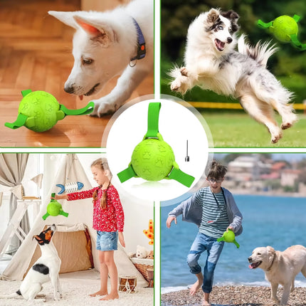 Ballon de football interactif pour chien avec sangles